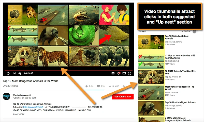 YouTube Video SEO: How To Optimise Your YouTube Videos 6 youtube thumbnail 1