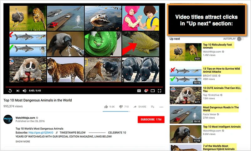 YouTube Video SEO: How To Optimise Your YouTube Videos 4 youtube title 1