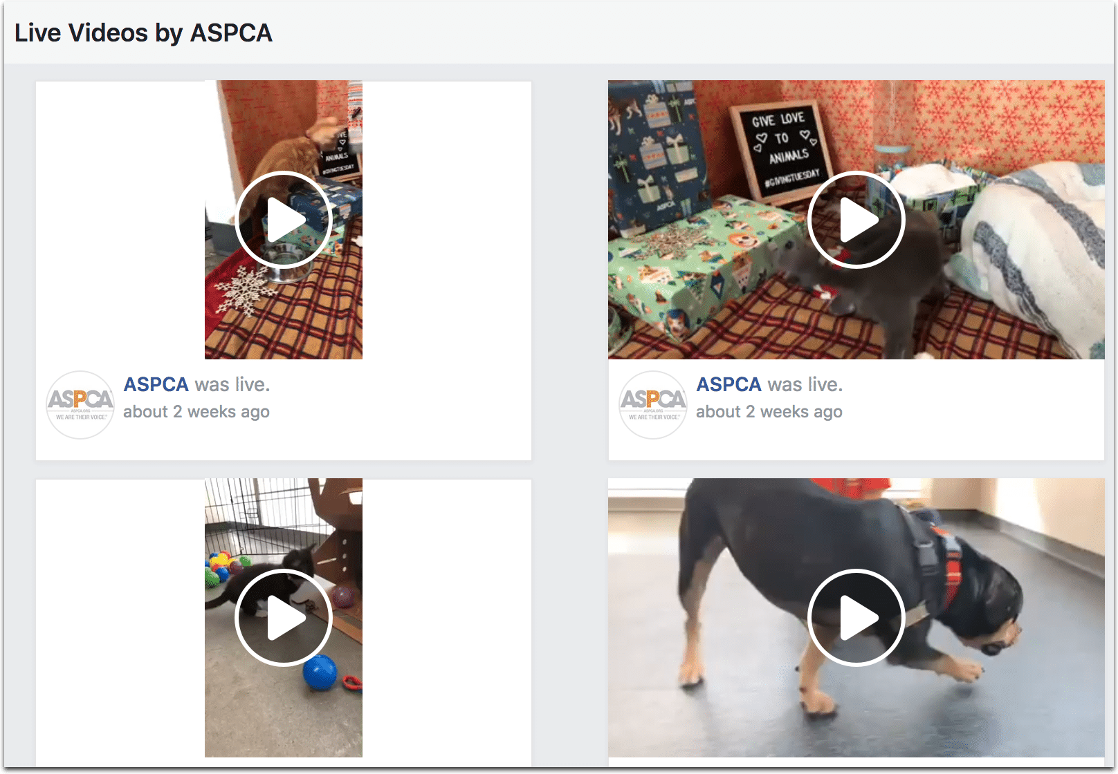 aspca facebook live