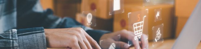 Shopify website audit