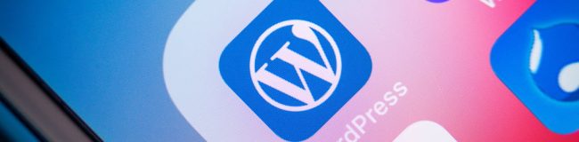 Kumamoto,,Japan,-,May,7,2020,:,Close,Up,Of